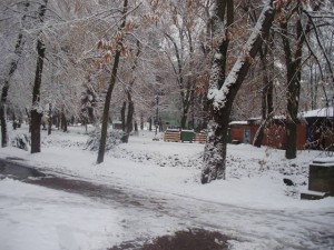 Pomoć Fontani iz Vrnjacke Banje od države