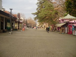 Međunarodni dan planete zemlje